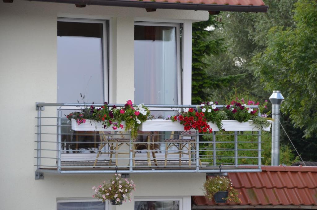Hotel Zur Bruecke Γκράιφσβαλντ Εξωτερικό φωτογραφία